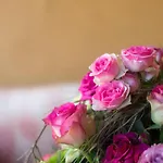 Bio Weingut Georgium Bed & Breakfast