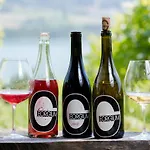 Bio Weingut Georgium Bed & Breakfast Sankt Georgen am Langsee