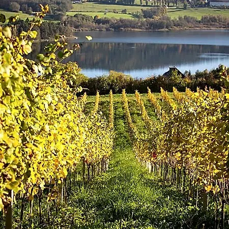 Bio Weingut Georgium Sankt Georgen am Längsee