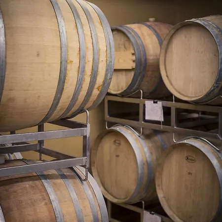 Bio Weingut Georgium לינה וארוחת בוקר