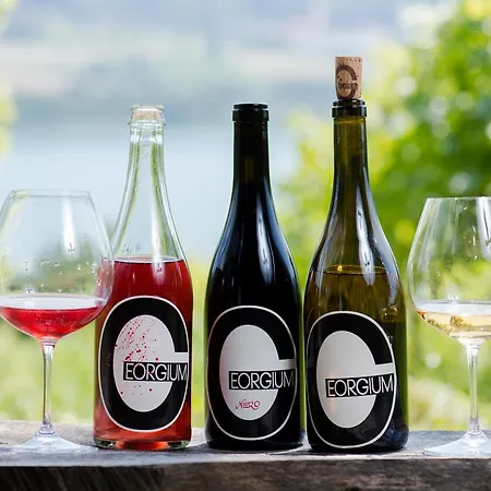 Bio Weingut Georgium Bed and Breakfast Sankt Georgen am Längsee