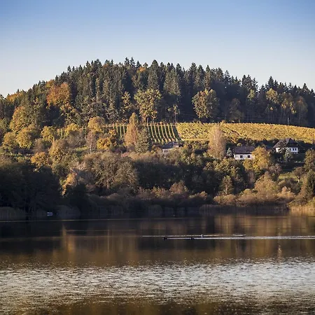 Bed and Breakfast Bio Weingut Georgium 4*