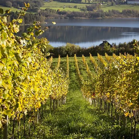 Bio Weingut Georgium