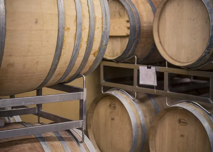 Bio Weingut Georgium Bed & Breakfast