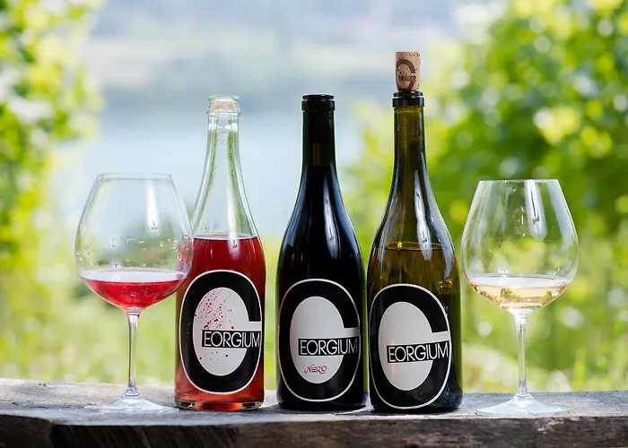 Bio Weingut Georgium 住宿加早餐酒店 Sankt Georgen am Längsee