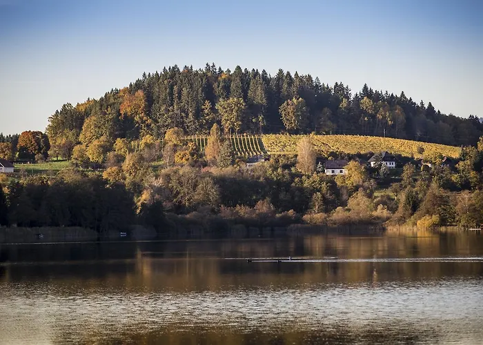 Bed & Breakfast Bio Weingut Georgium 4*