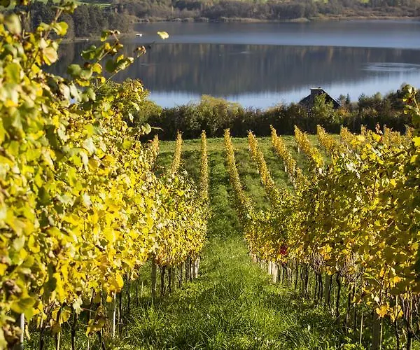 Bio Weingut Georgium